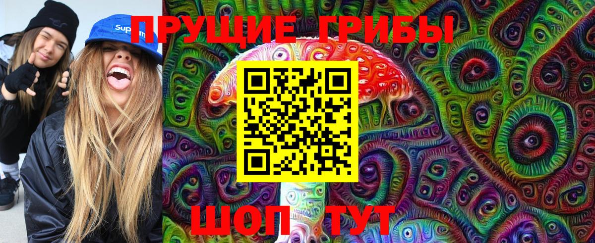 Уфа  Псилоцибиновые грибы Cubensis  Вход с VPN 