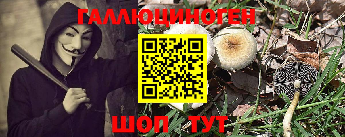 Галлюциногенные грибы MAGIC MUSHROOMS Уфа